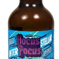 Cerveja artesanal Hocus Pocus Interestellar 500ml