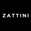 zattini-100x100[1]